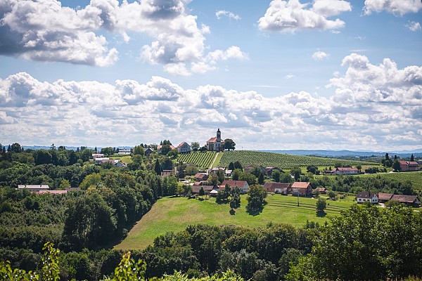 Avtor: Patricija Belak